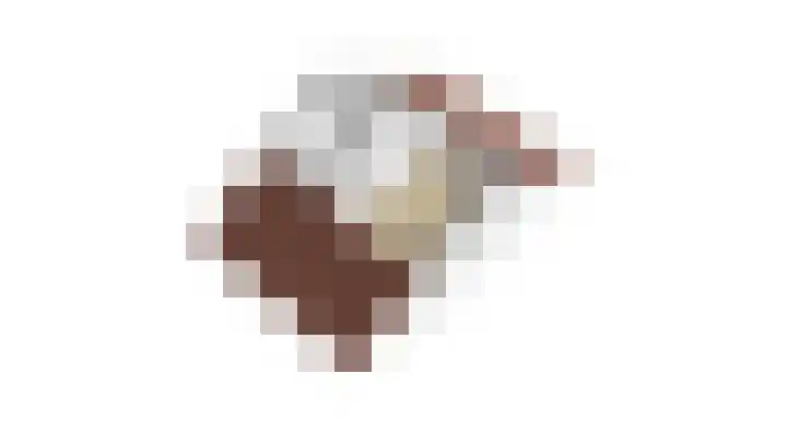 Bovenkruier 2 Nieuw-Lekkerland thumbnail 44