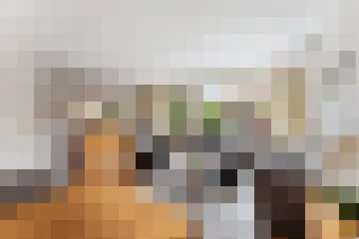 Bovenkruier 2 Nieuw-Lekkerland thumbnail 8