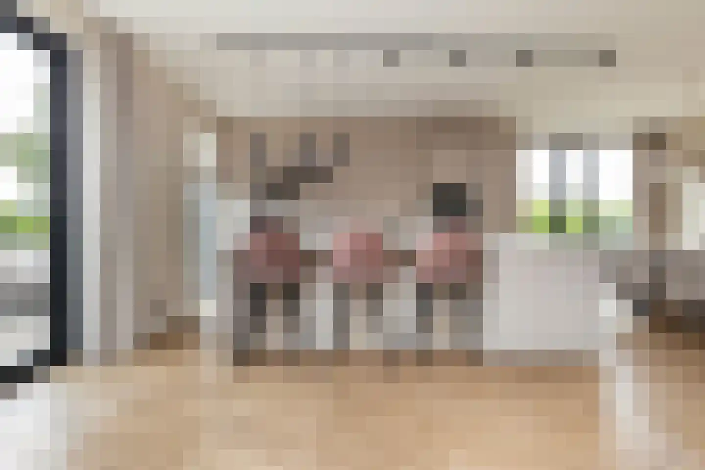 Bovenkruier 2 Zwolle thumbnail 14