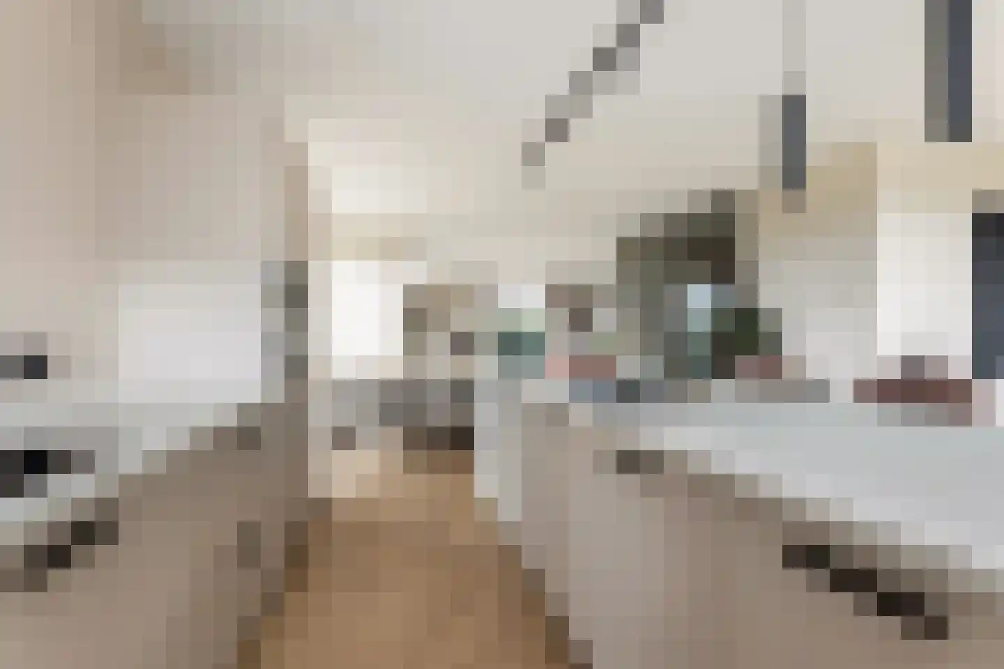Bovenkruier 2 Zwolle thumbnail 17