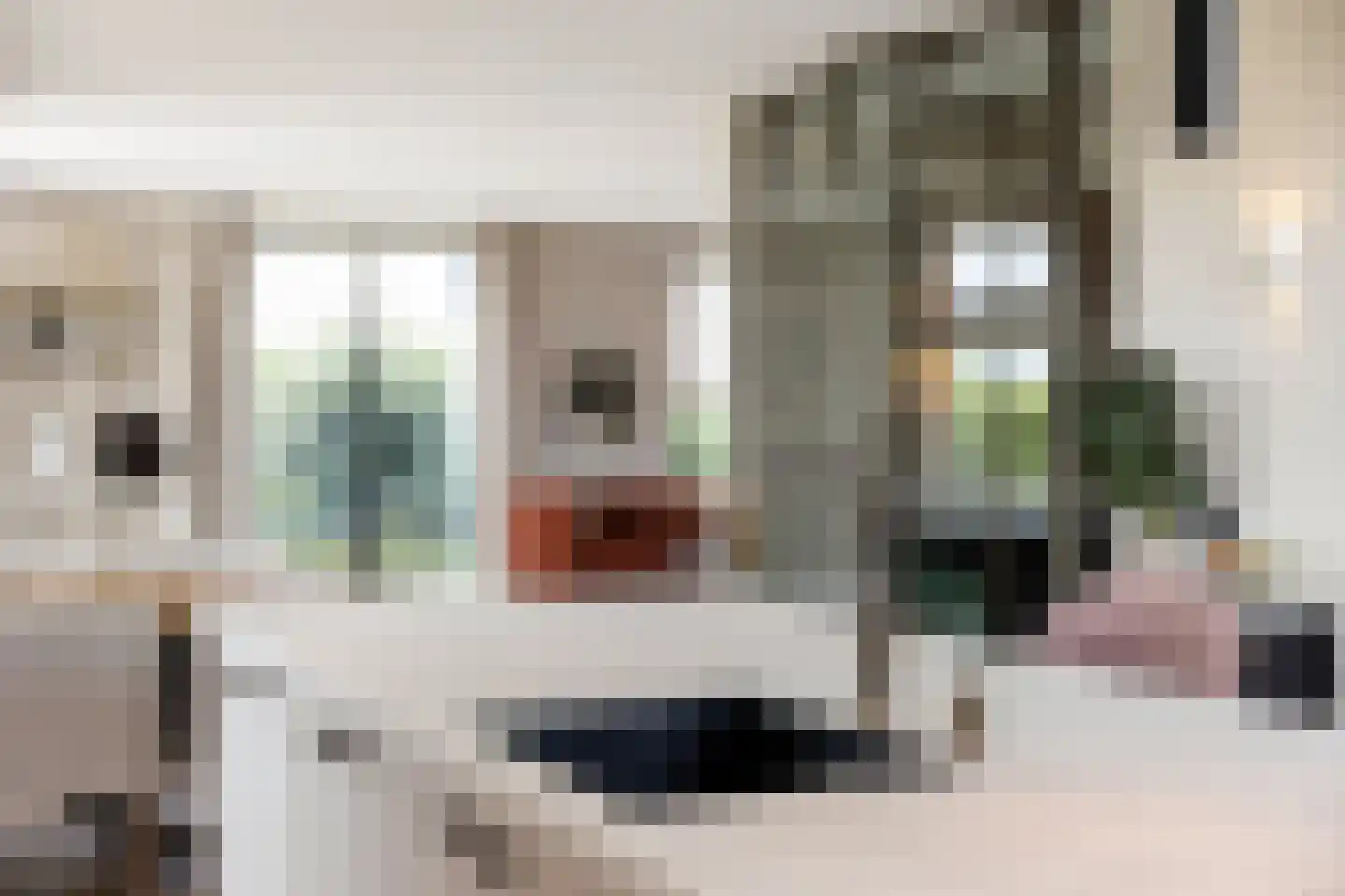 Bovenkruier 2 Zwolle thumbnail 18