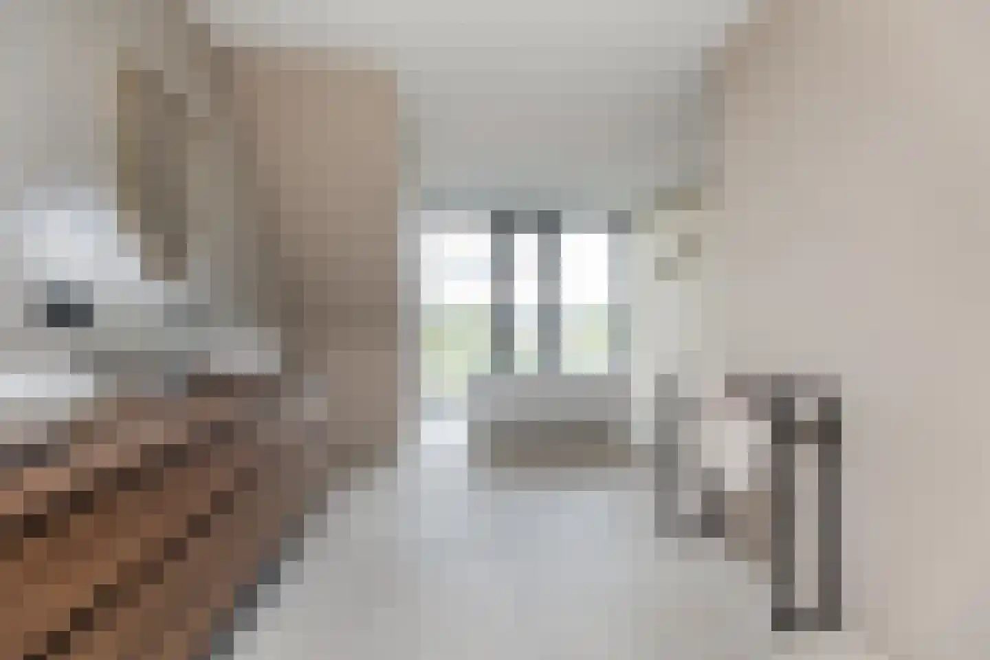 Bovenkruier 2 Zwolle thumbnail 36
