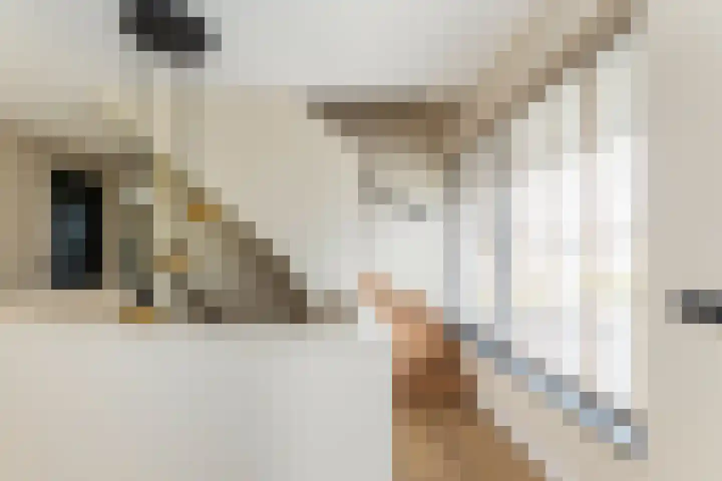 Bovenkruier 2 Zwolle thumbnail 38