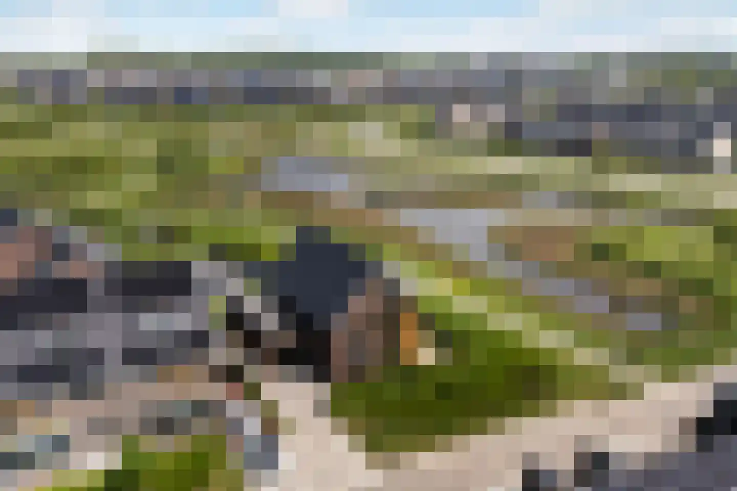 Bovenkruier 2 Zwolle thumbnail 60