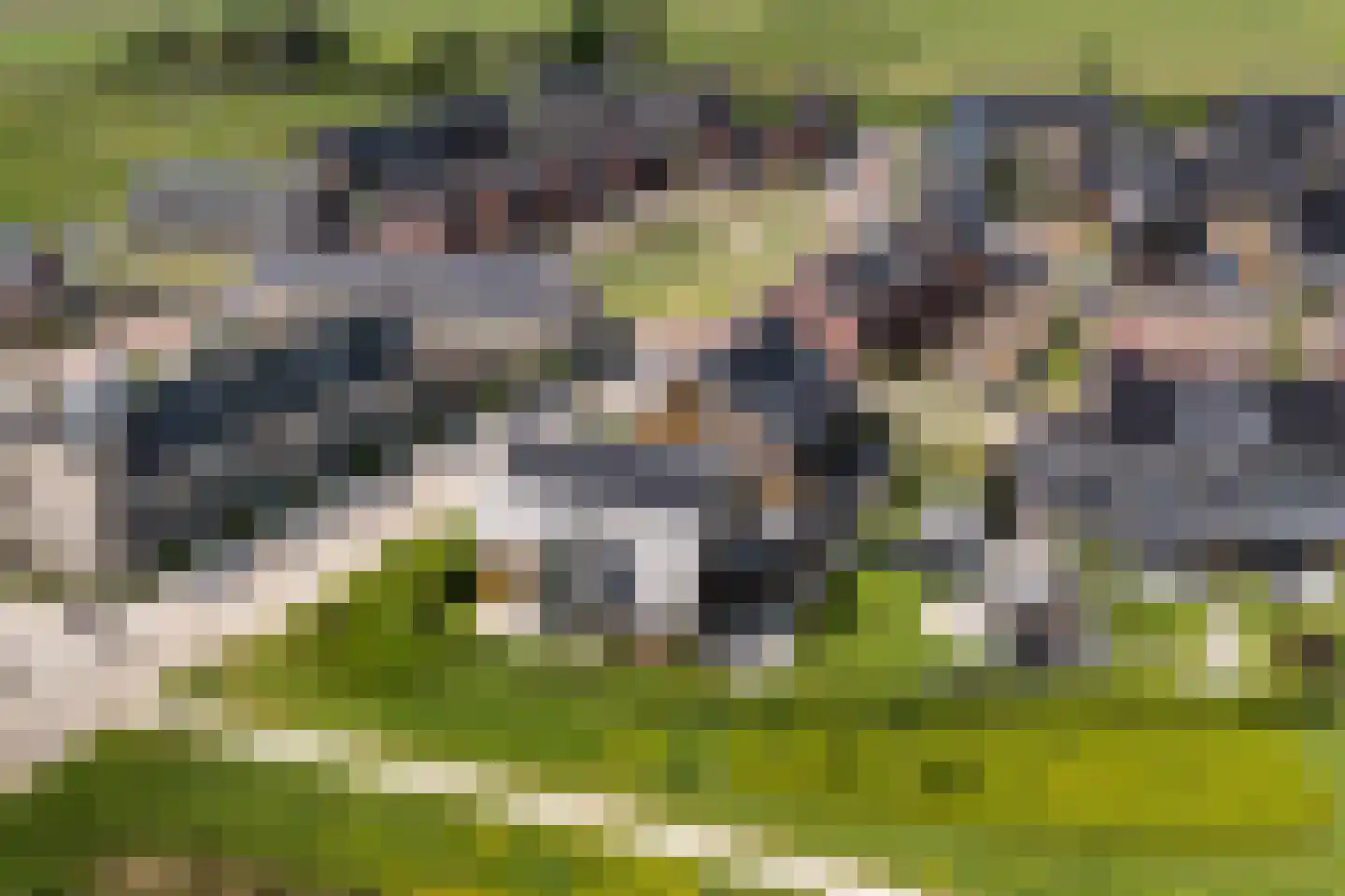 Bovenkruier 2 Zwolle thumbnail 62