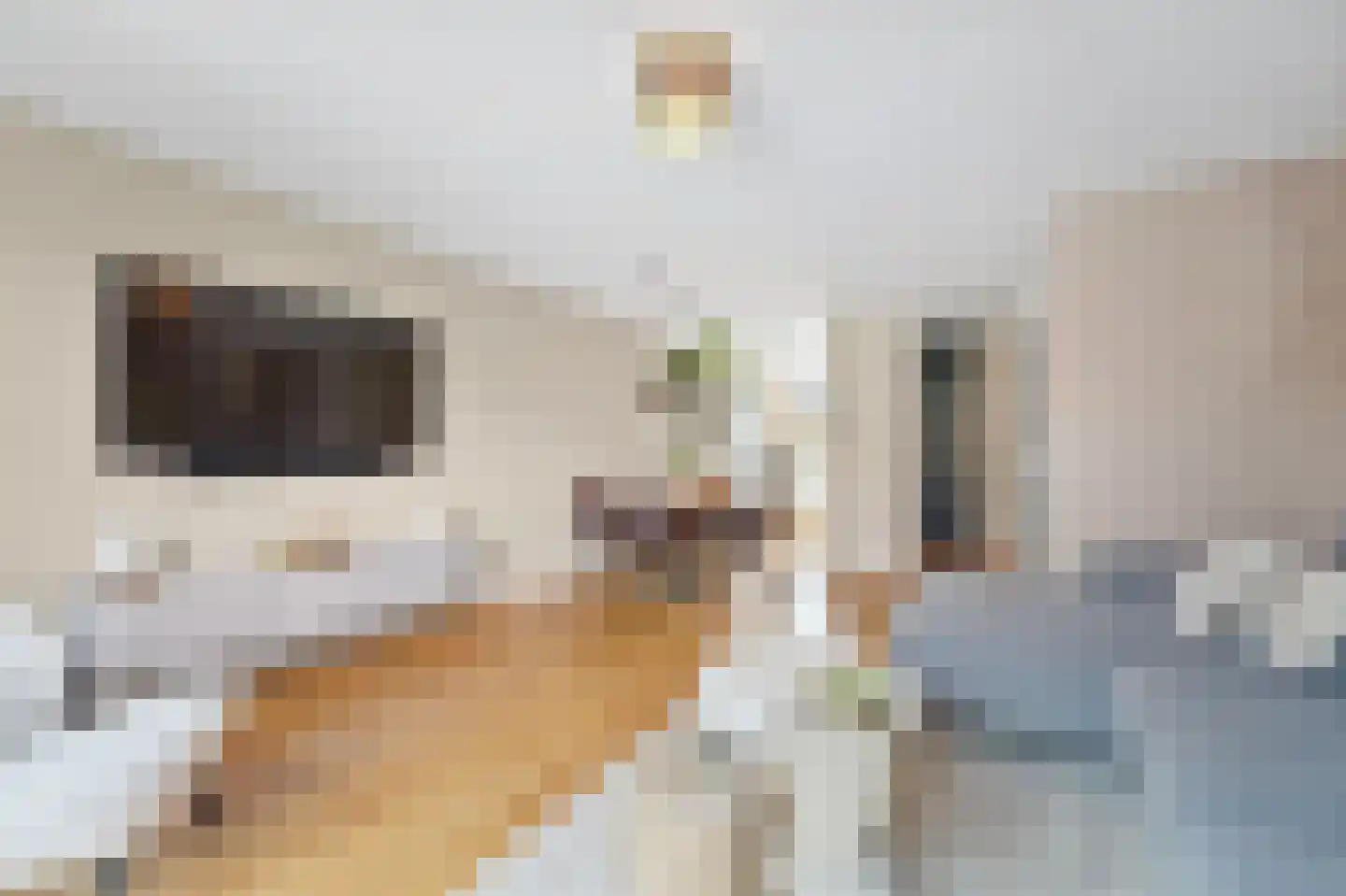 Bovenkruier 4 Schipluiden thumbnail 10