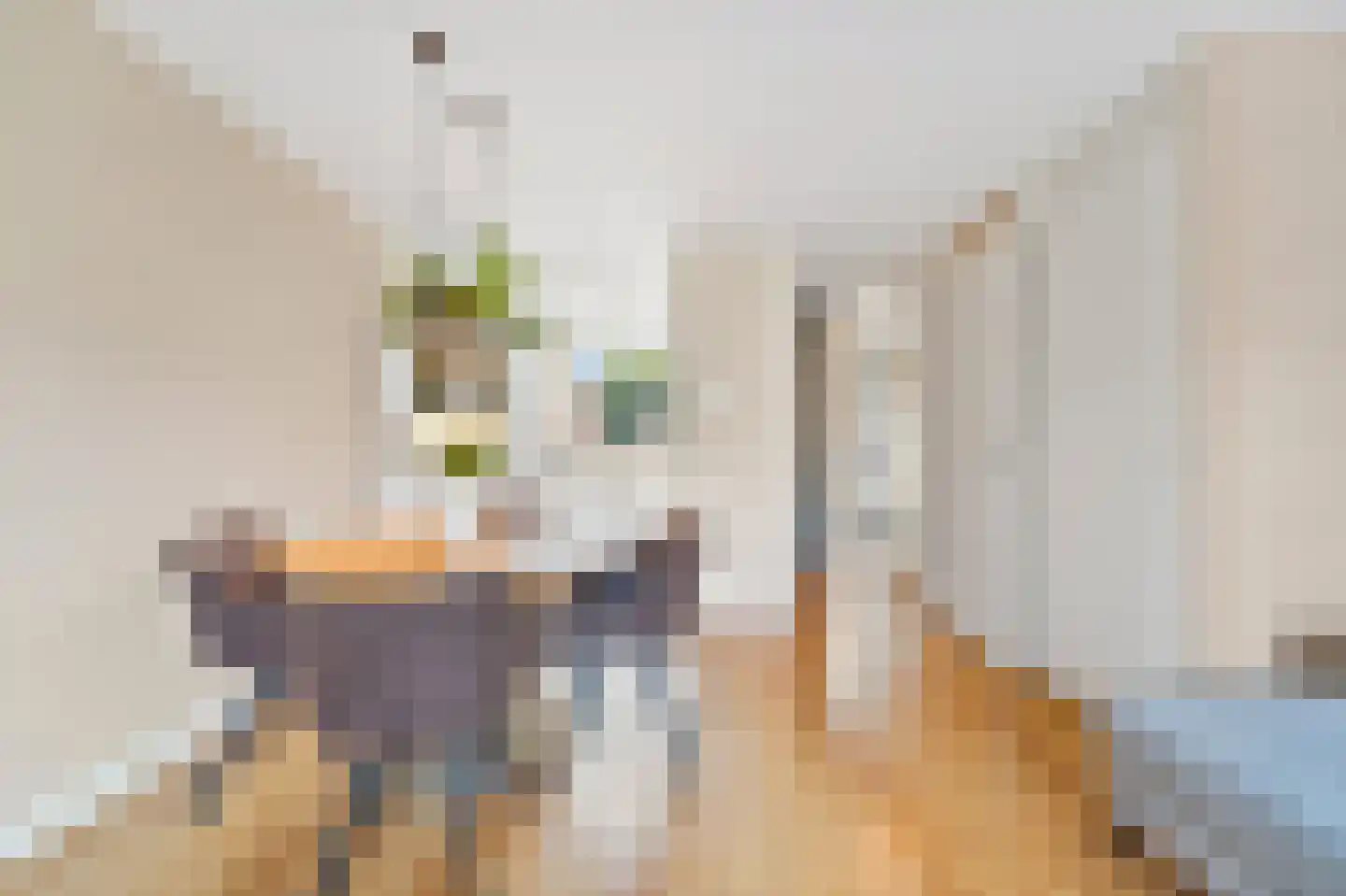 Bovenkruier 4 Schipluiden thumbnail 11