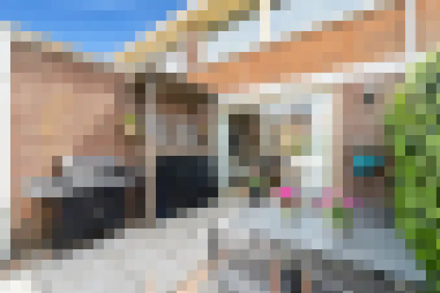 Bovenkruier 4 Schipluiden thumbnail 17
