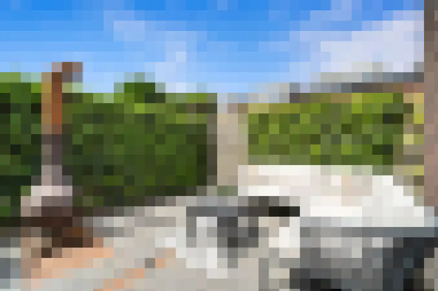Bovenkruier 4 Schipluiden thumbnail 18