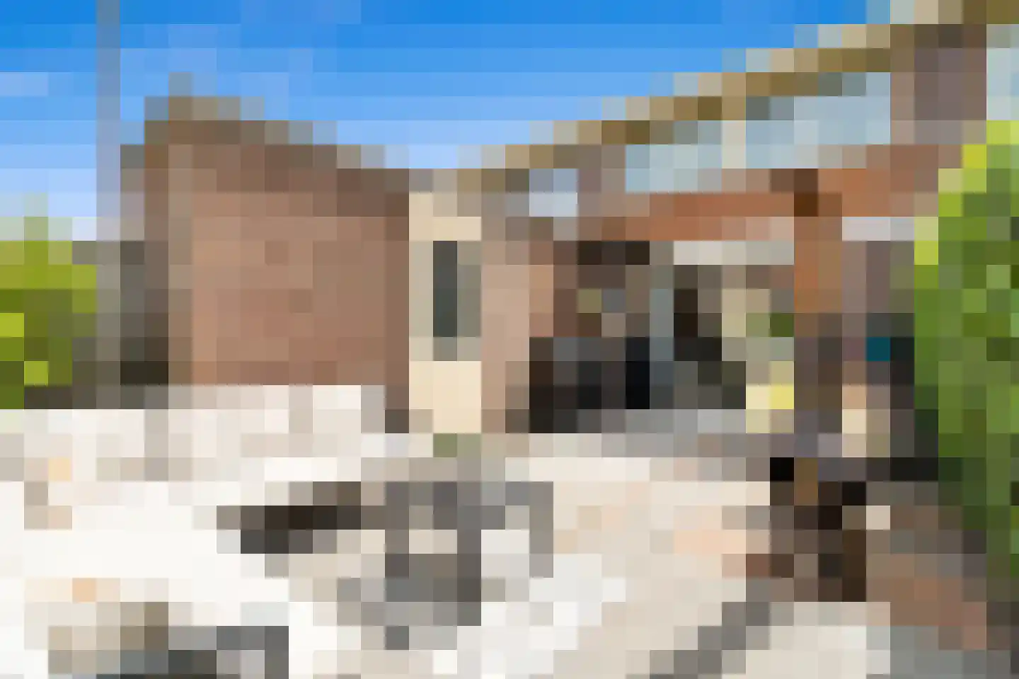 Bovenkruier 4 Schipluiden thumbnail 19