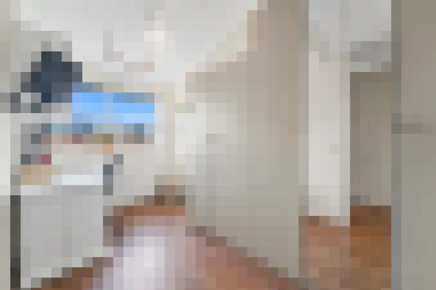 Bovenkruier 4 Schipluiden thumbnail 27