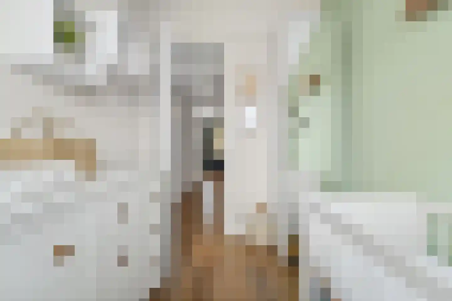 Bovenkruier 4 Schipluiden thumbnail 30