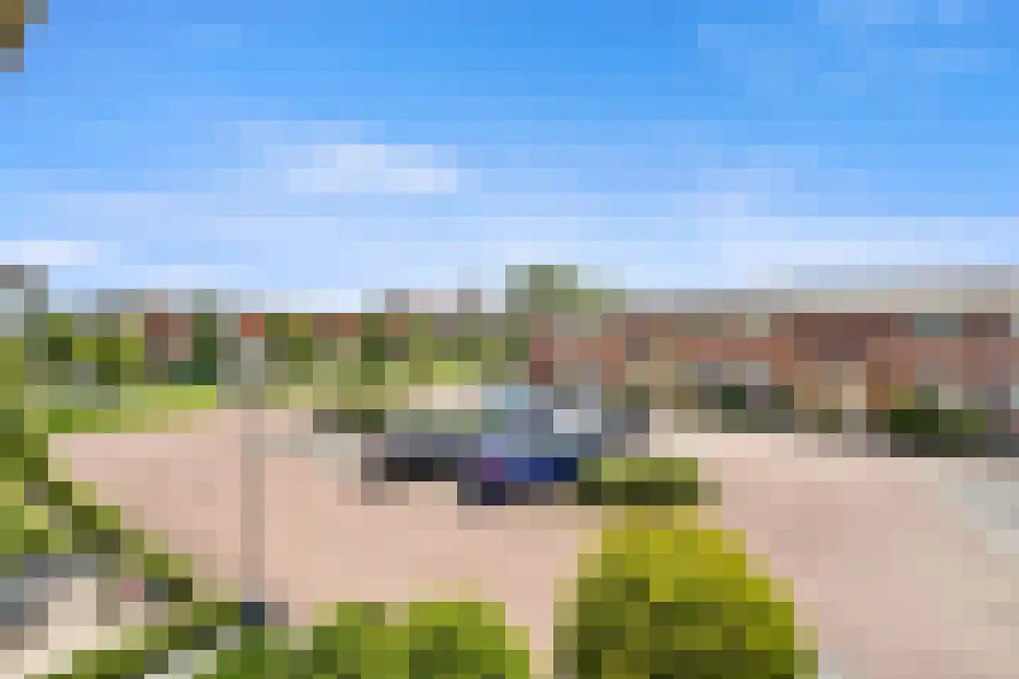 Bovenkruier 4 Schipluiden thumbnail 31