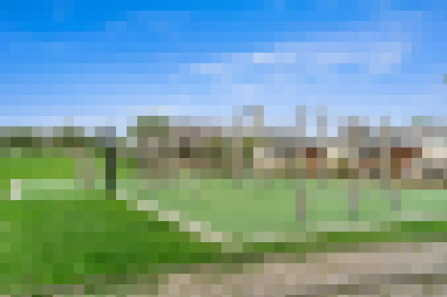 Bovenkruier 4 Schipluiden thumbnail 34