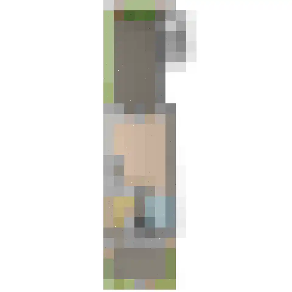 Bovenkruier 4 Schipluiden thumbnail 39