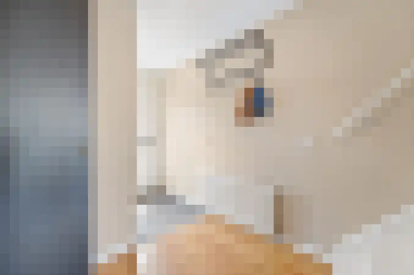 Bovenkruier 4 Schipluiden thumbnail 4