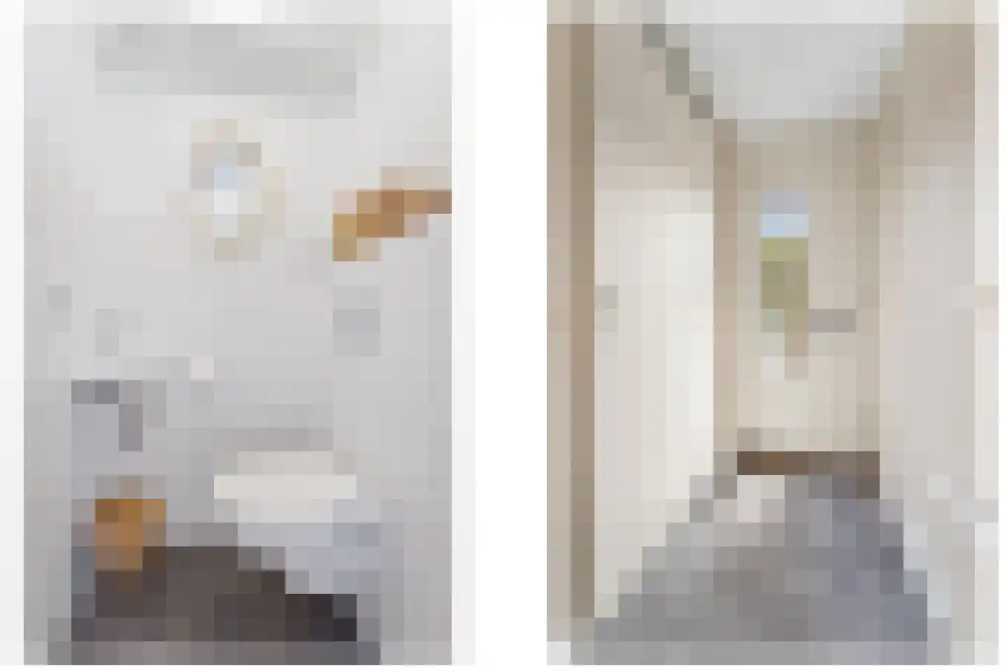 Bovenkruier 4 Schipluiden thumbnail 5