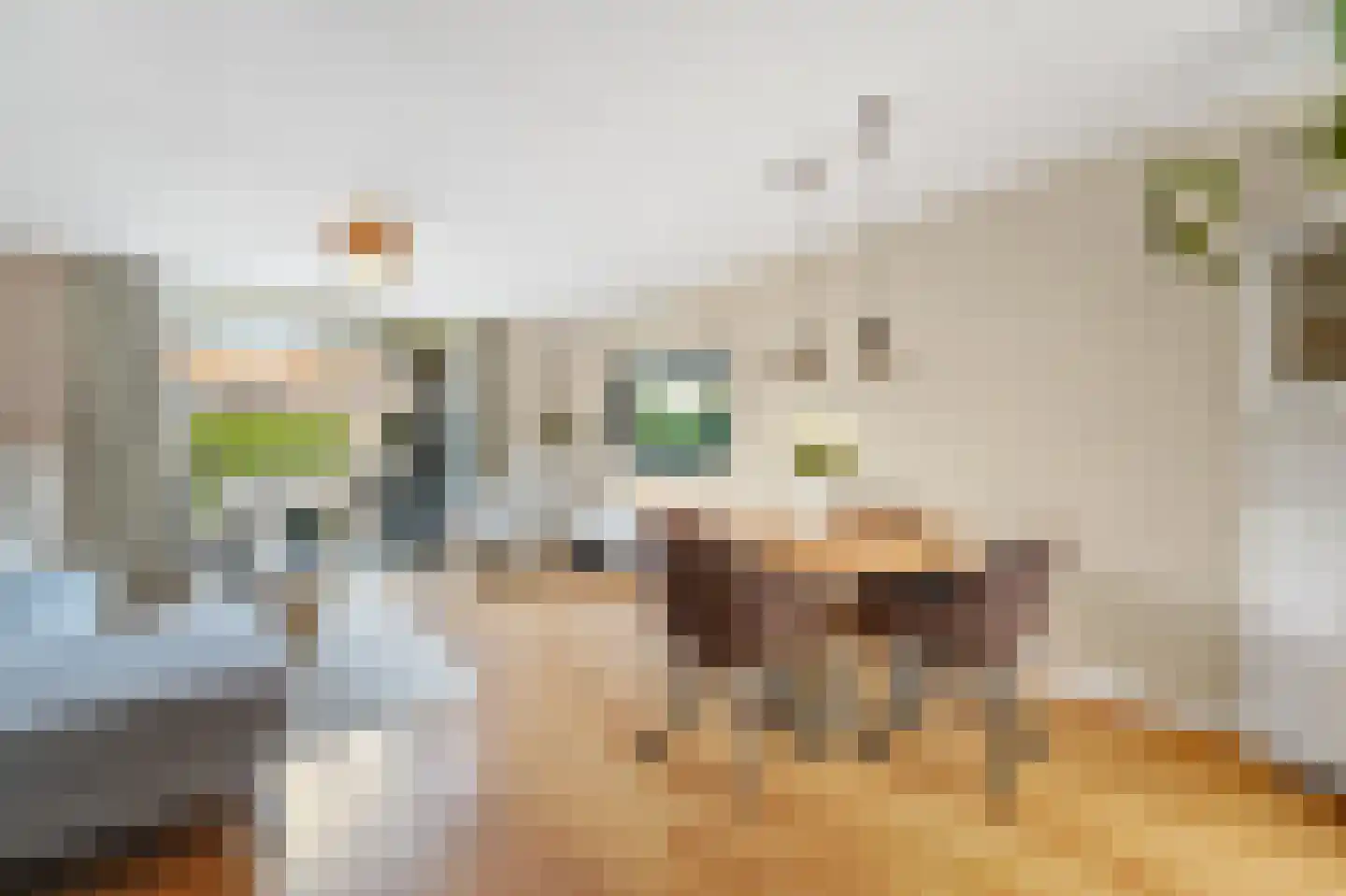 Bovenkruier 4 Schipluiden thumbnail 6