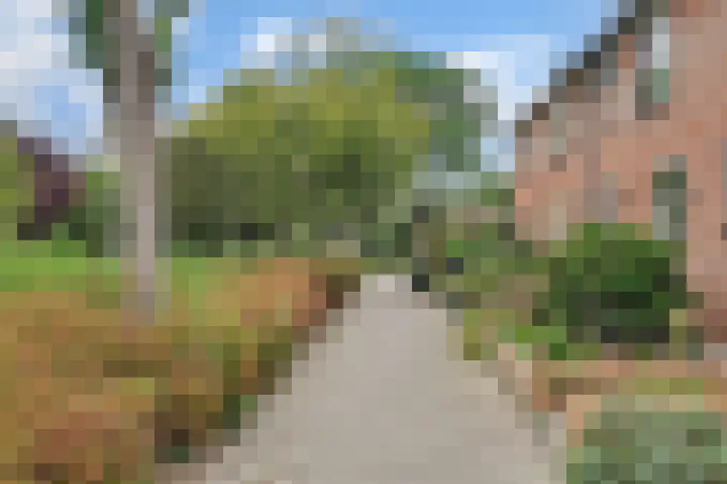 Bovenkruier 5 Puttershoek thumbnail 22