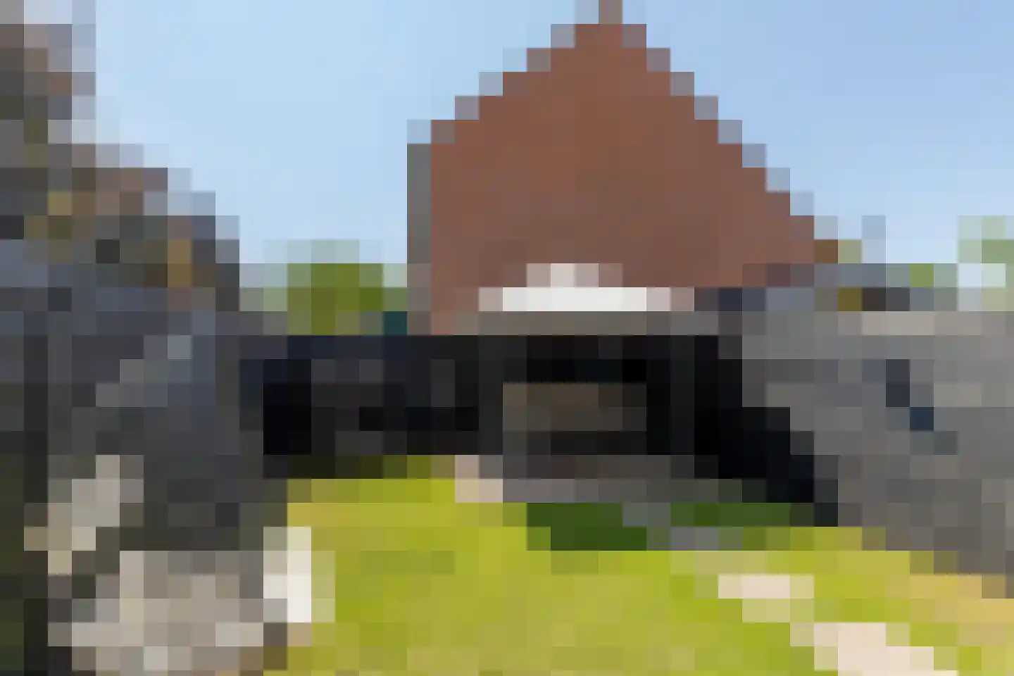 Bovenkruier 52 Nieuw-Lekkerland thumbnail 17