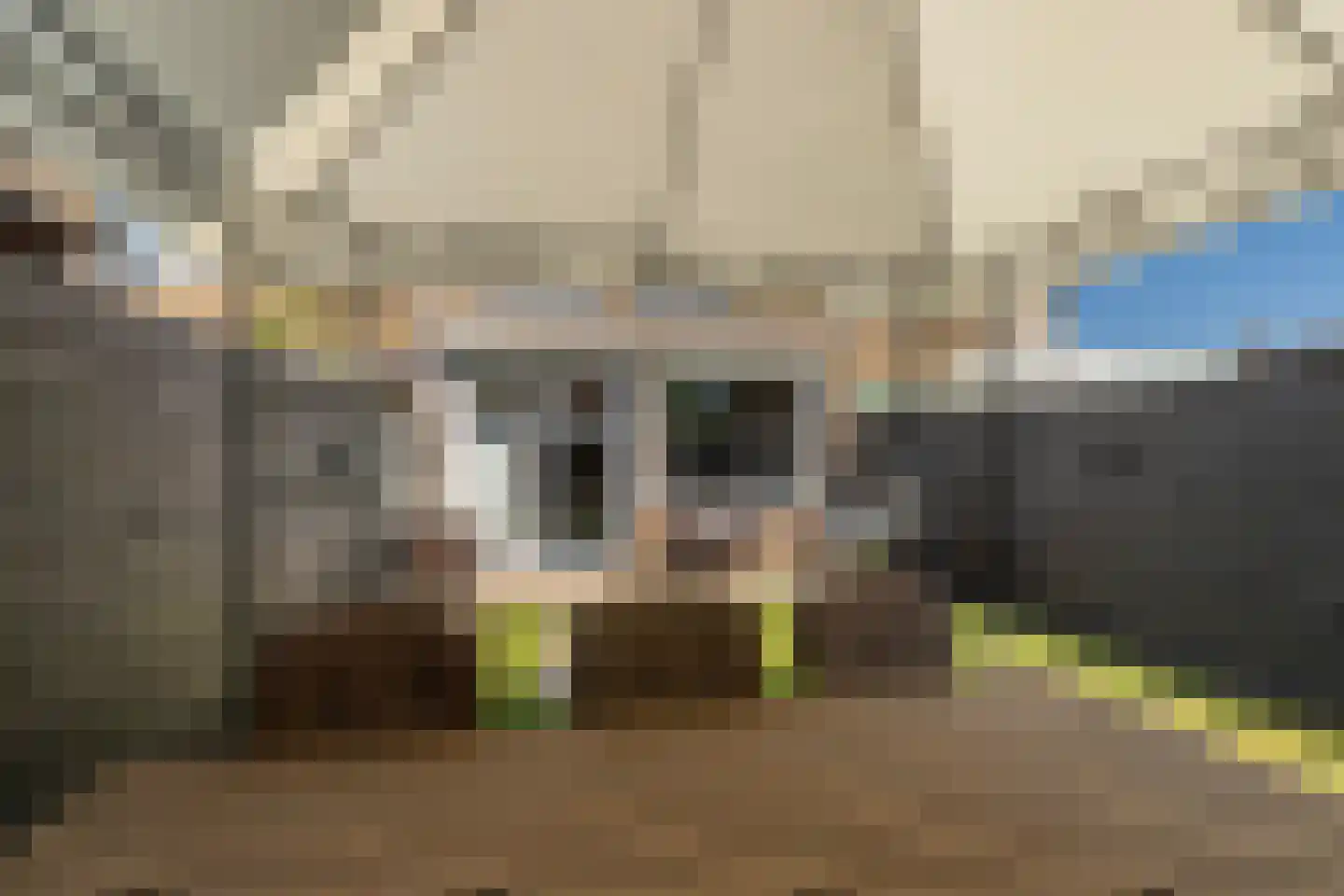 Bovenkruier 52 Nieuw-Lekkerland thumbnail 19