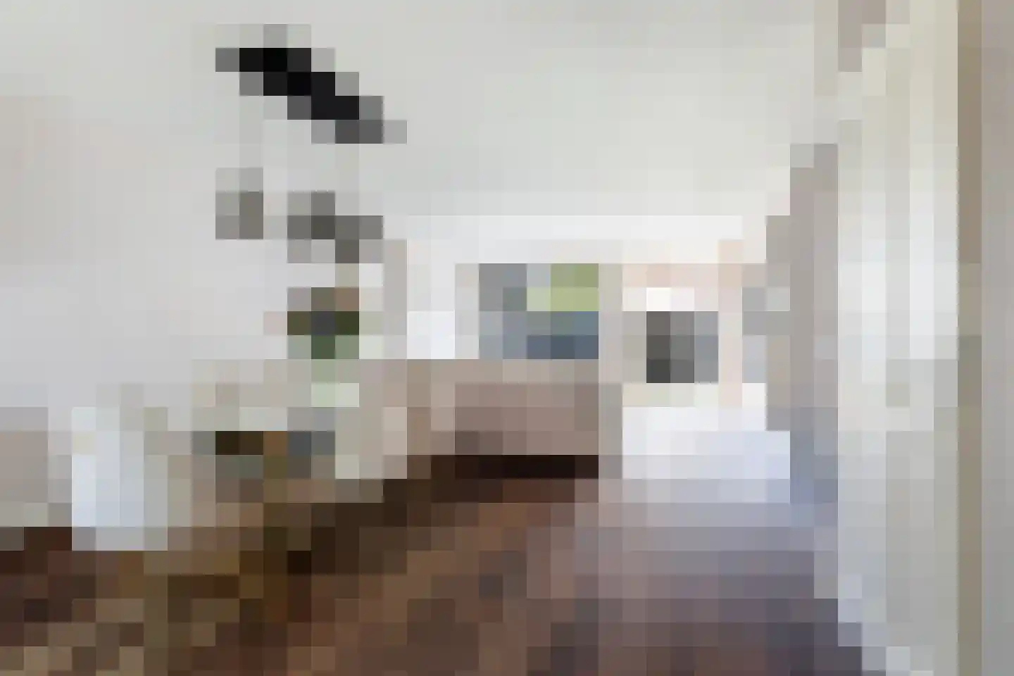 Bovenkruier 52 Nieuw-Lekkerland thumbnail 8