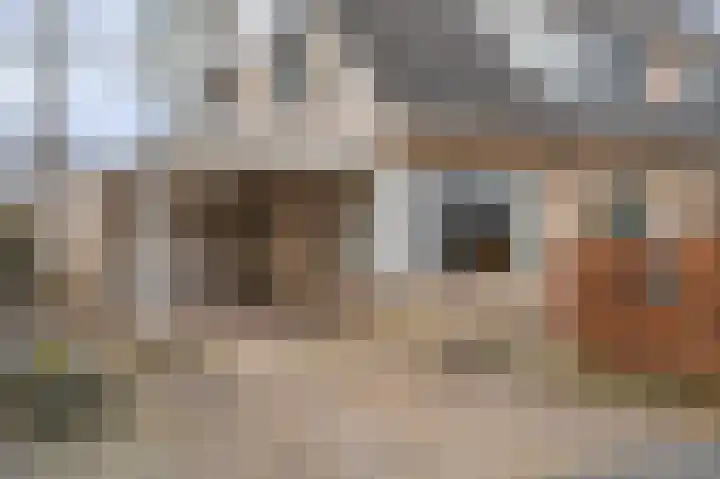 Bovenkruier 6 Scheemda thumbnail 5