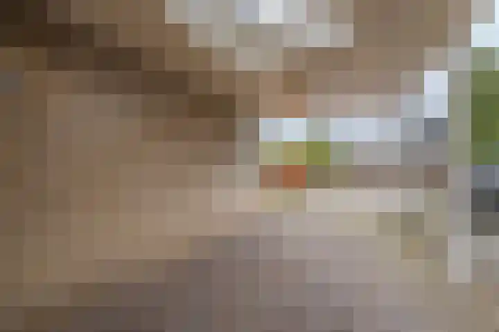 Bovenkruier 6 Scheemda thumbnail 6