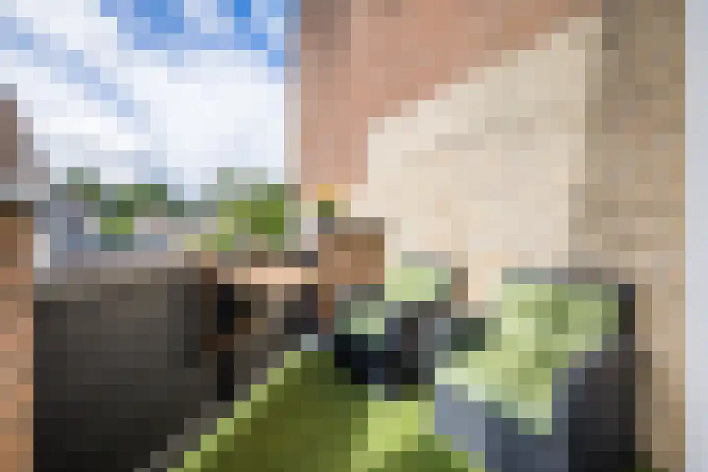 Bovenkruier 60 Maartensdijk thumbnail 17