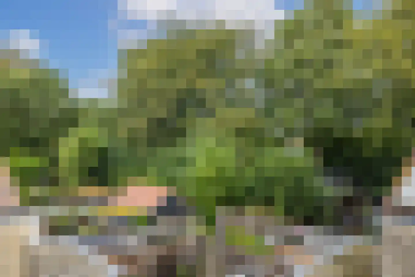 Bovenkruier 60 Maartensdijk thumbnail 38