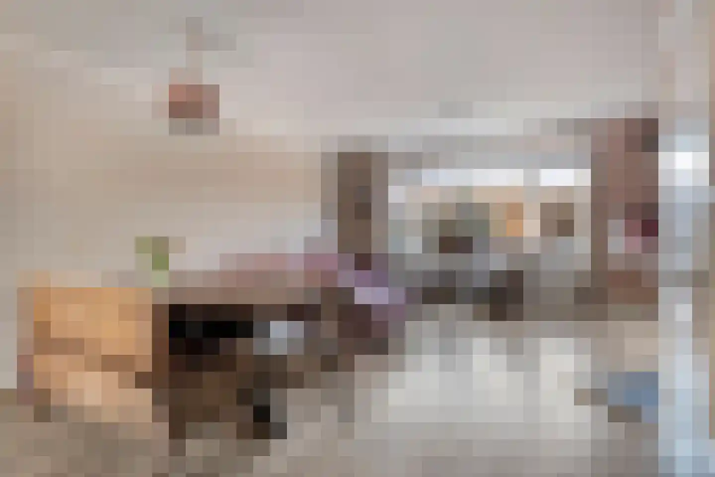 Bovenkruier 62 Nieuw-Lekkerland thumbnail 10