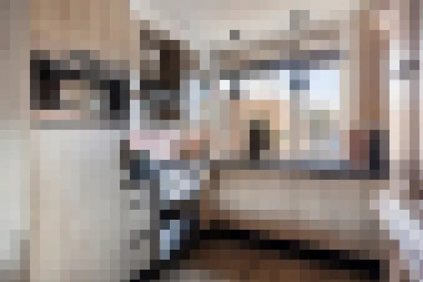 Bovenkruier 62 Nieuw-Lekkerland thumbnail 15