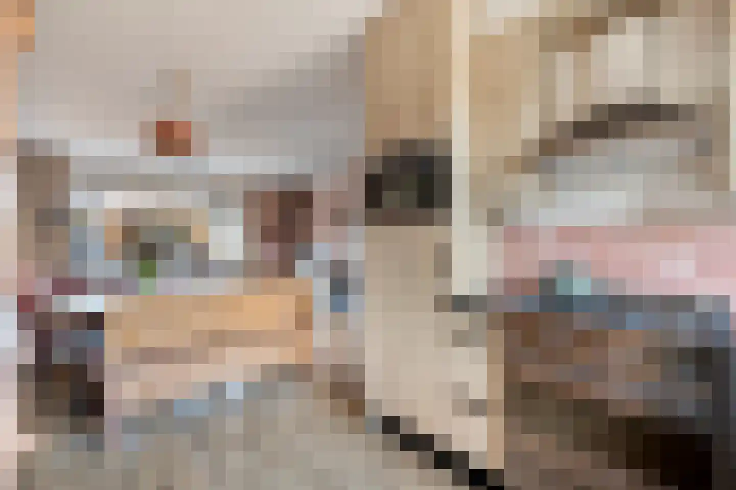 Bovenkruier 62 Nieuw-Lekkerland thumbnail 16