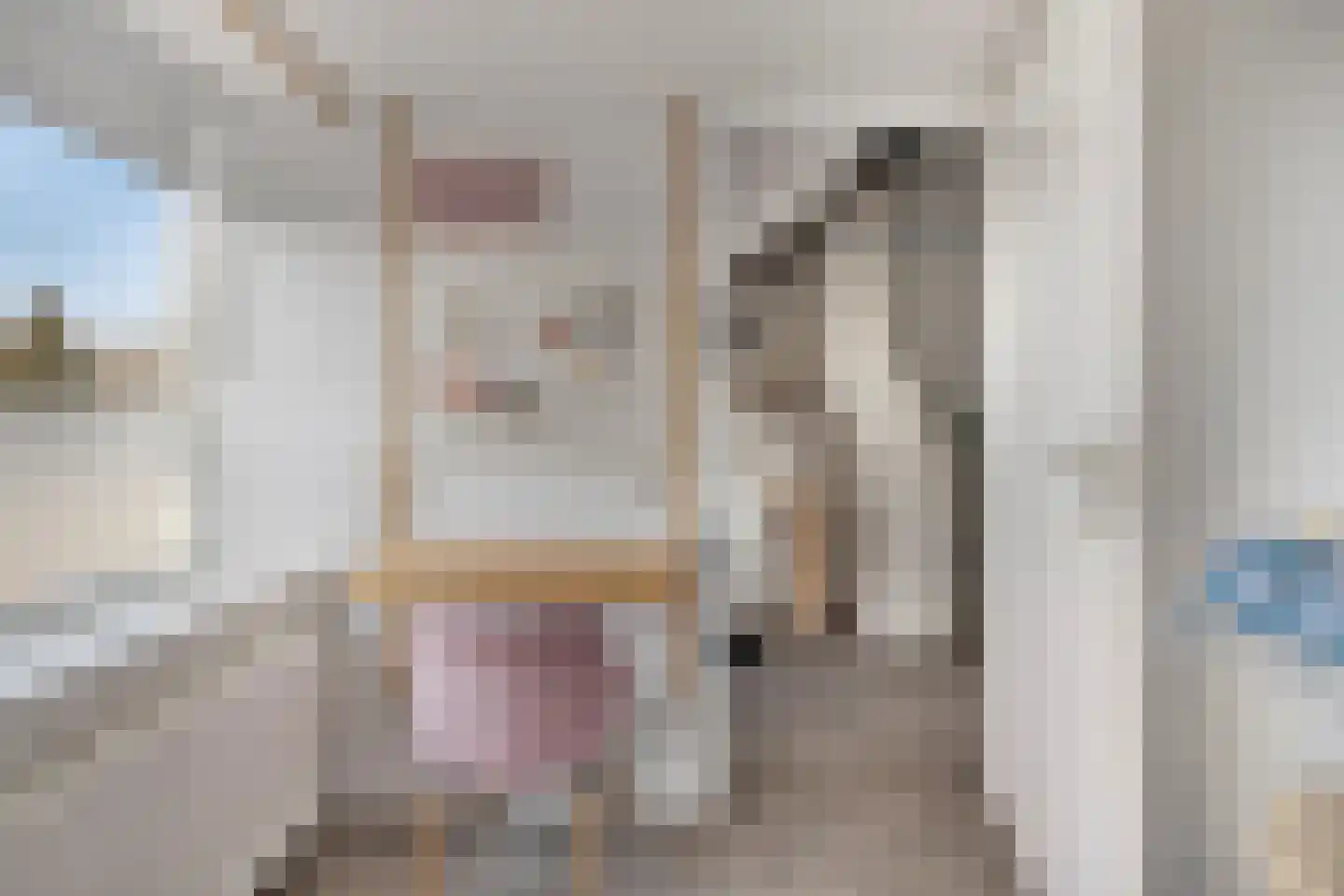 Bovenkruier 62 Nieuw-Lekkerland thumbnail 31
