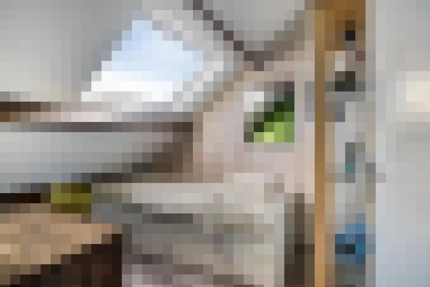 Bovenkruier 62 Nieuw-Lekkerland thumbnail 32