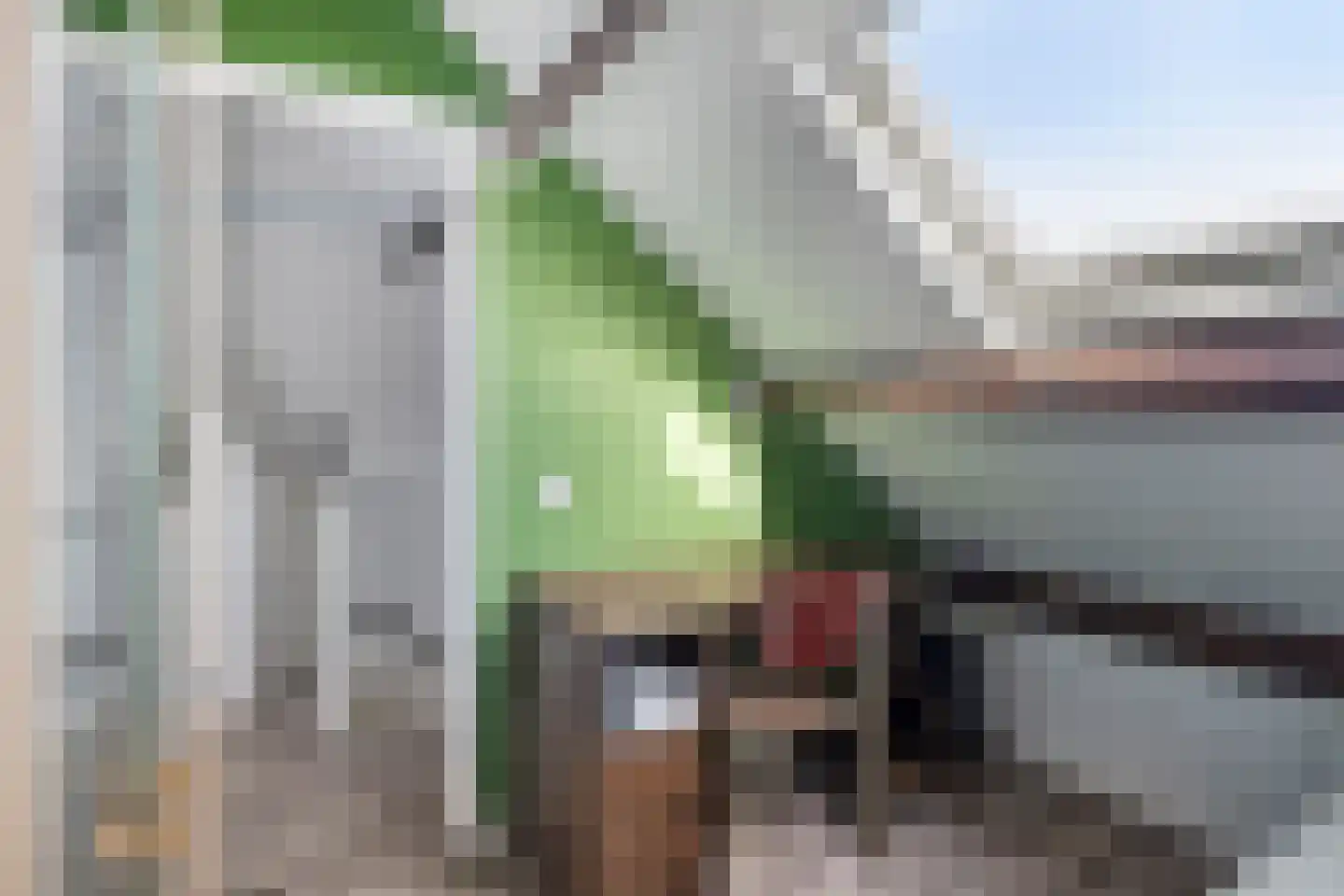 Bovenkruier 62 Nieuw-Lekkerland thumbnail 33