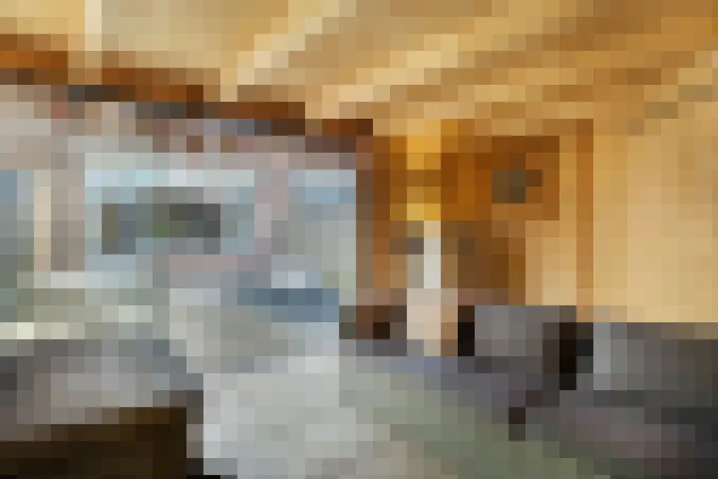 Bovenkruier 62 Nieuw-Lekkerland thumbnail 39