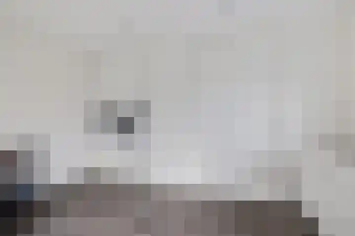 Bovenkruier 7 Dalen thumbnail 36