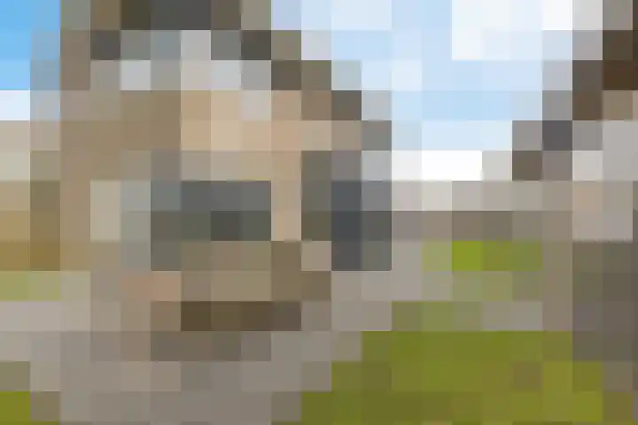 Bovenkruier 7 Dalen thumbnail 39