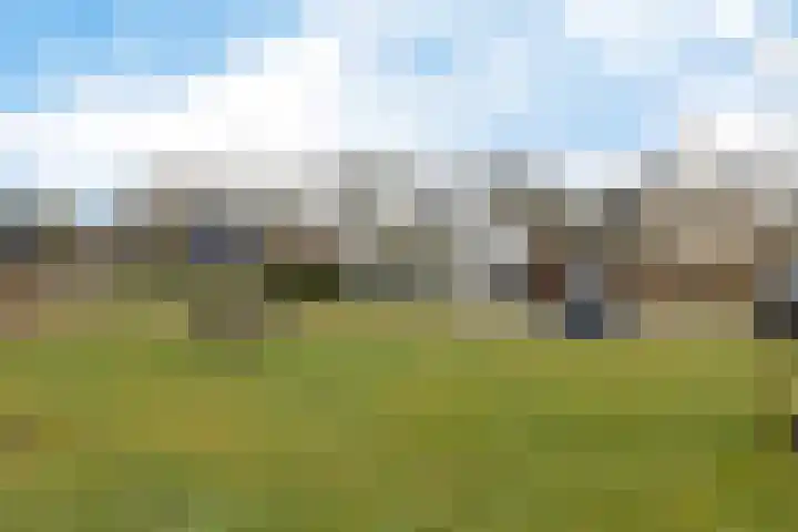 Bovenkruier 7 Dalen thumbnail 6