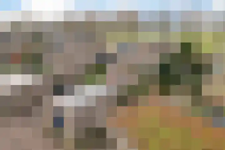 Bovenkruier 7 Dalen thumbnail 8