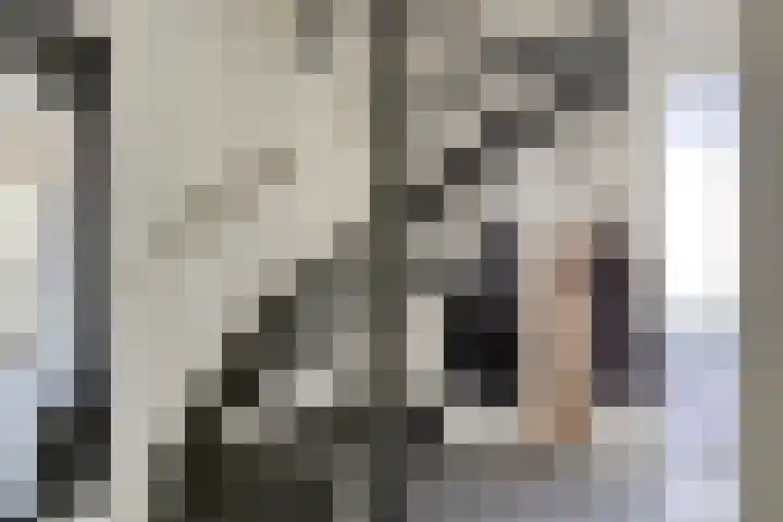 Bovenkruier 9 Harkstede thumbnail 10