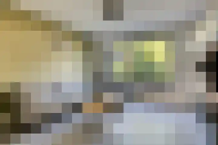 Bovenkruier 9 Harkstede thumbnail 11