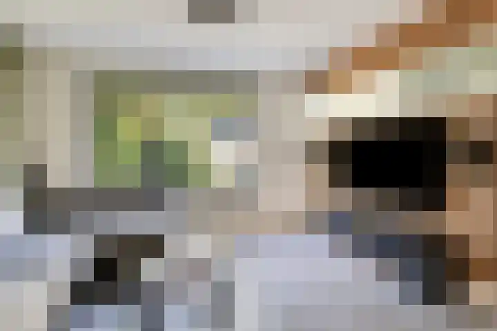 Bovenkruier 9 Harkstede thumbnail 13
