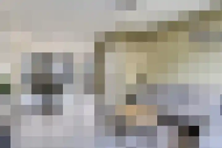 Bovenkruier 9 Harkstede thumbnail 14