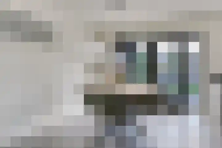 Bovenkruier 9 Harkstede thumbnail 15