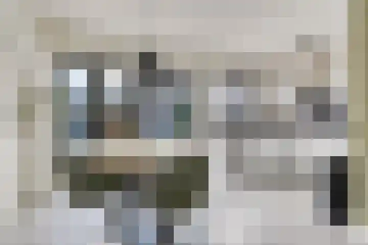 Bovenkruier 9 Harkstede thumbnail 16