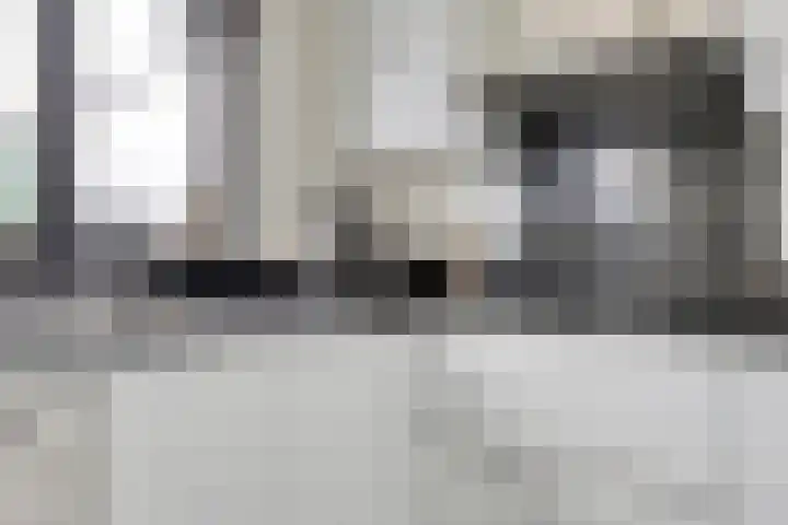 Bovenkruier 9 Harkstede thumbnail 18