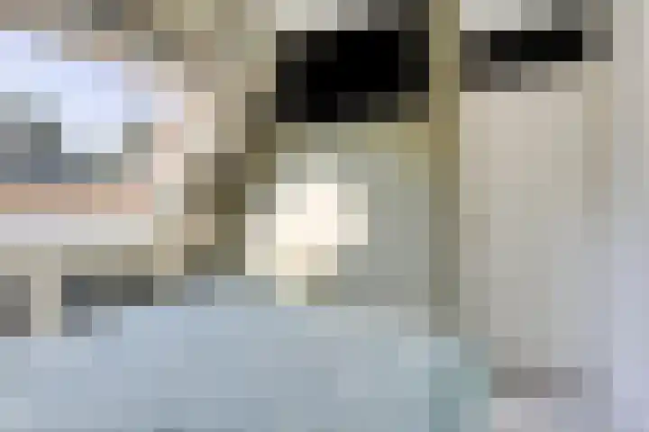 Bovenkruier 9 Harkstede thumbnail 22