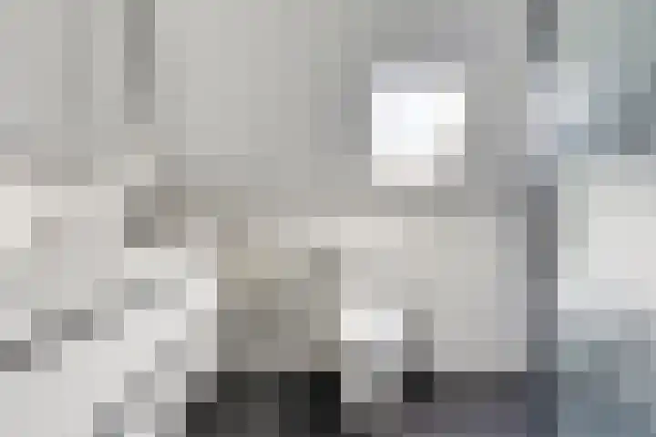 Bovenkruier 9 Harkstede thumbnail 23